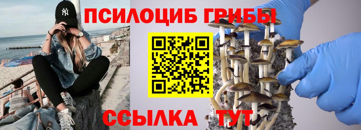 Псилоцибиновые грибы мухоморы Кунгур